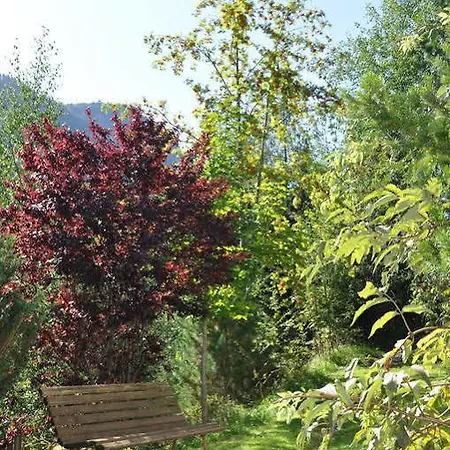 Pensjonat - Und Fruehstueckspension Jaegerheim 3*